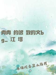 肉肉寫的很細致的文bg