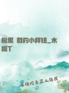腹黑總裁的小胖妞