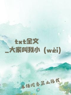 臥鋪媽媽txt全文閱讀