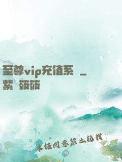 至尊vip充值系統