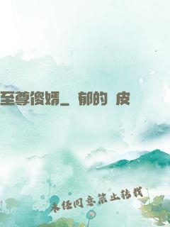 至尊傻婿