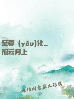 至尊優(yōu)化
