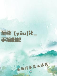 至尊優(yōu)化