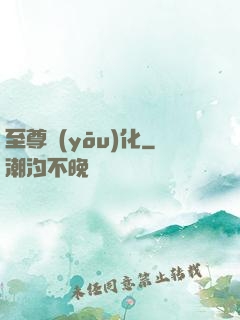 至尊優(yōu)化