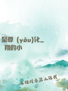 至尊優(yōu)化
