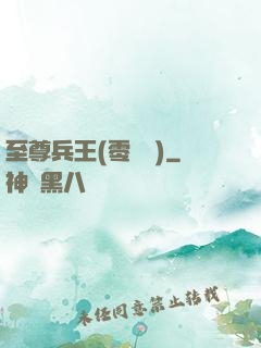 至尊兵王(零點風)