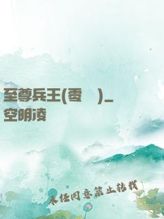 至尊兵王(零點風)