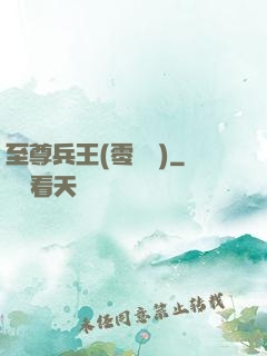 至尊兵王(零點風)