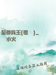 至尊兵王(零點風)