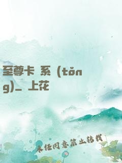 至尊卡師系統(tǒng)