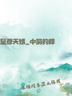 至尊天婿