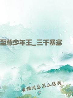 至尊少年王