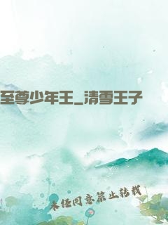 至尊少年王