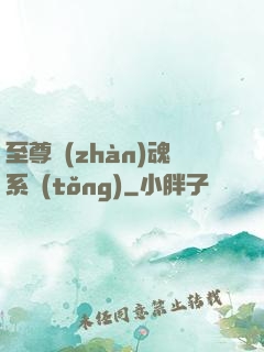 至尊戰(zhàn)魂系統(tǒng)