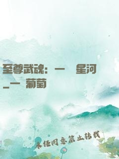 至尊武魂：一葉斬星河