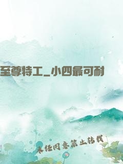 至尊特工