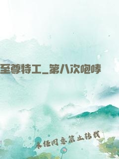 至尊特工
