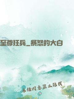 至尊狂兵