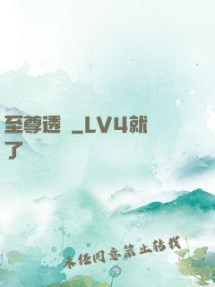 至尊透視