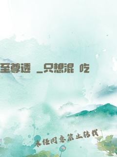 至尊透視