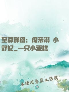 至尊邪凰：魔帝溺寵小野妃