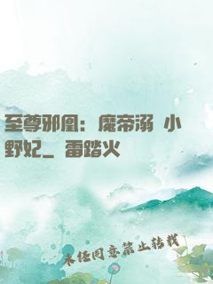 至尊邪凰：魔帝溺寵小野妃