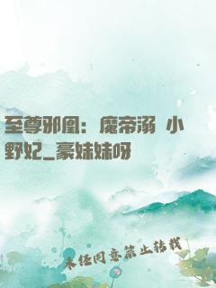 至尊邪凰：魔帝溺寵小野妃