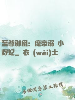 至尊邪凰：魔帝溺寵小野妃