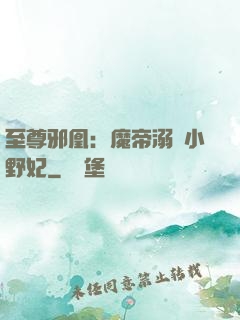 至尊邪凰：魔帝溺寵小野妃