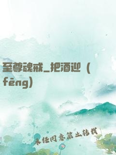 至尊魂戒
