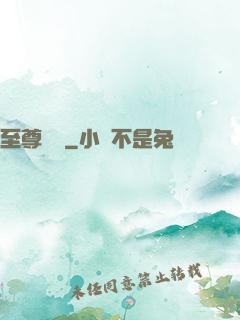至尊龍帥