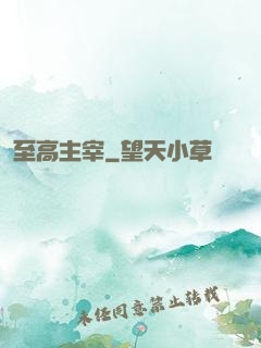 至高主宰