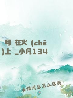 與母親在火車(chē)上鋪