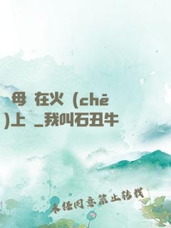 與母親在火車(chē)上鋪