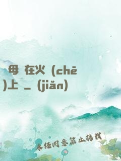 與母親在火車(chē)上鋪