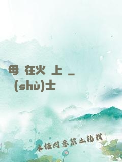 與母親在火車上鋪
