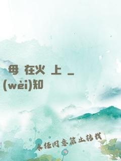 與母親在火車上鋪