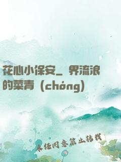 花心小保安