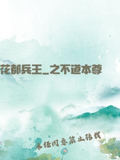 花都兵王
