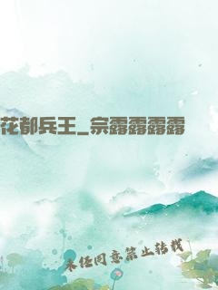 花都兵王