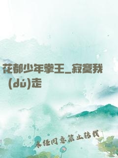 花都少年拳王