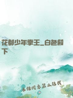 花都少年拳王