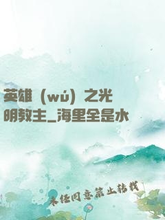 英雄無(wú)敵之光明教主