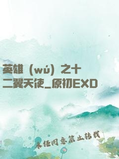 英雄無(wú)敵之十二翼天使