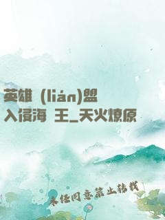 英雄聯(lián)盟入侵海賊王