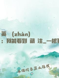 英靈戰(zhàn)爭：我能看到隱藏備注