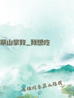 茅山掌教