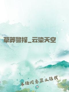 草莽警探