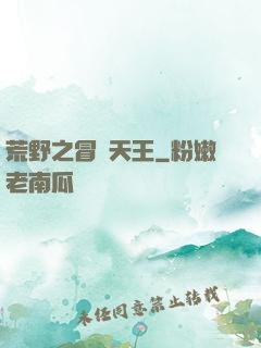 荒野之冒險天王