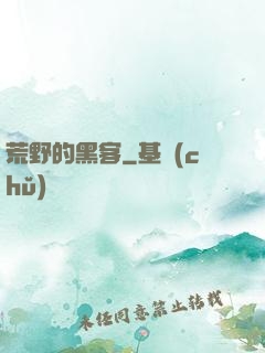 荒野的黑客